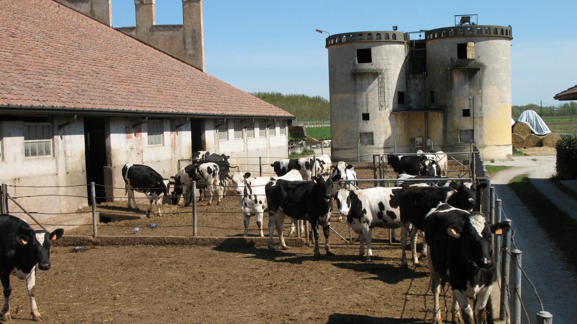 Agriturismo Corte Virgiliana Virgilio Стая снимка